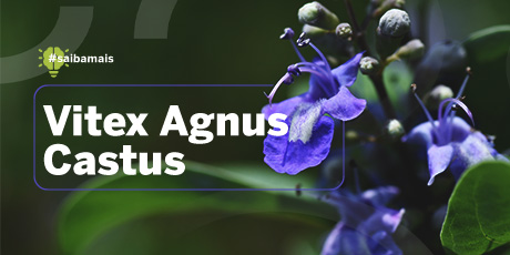 Vitex Agnus Castus