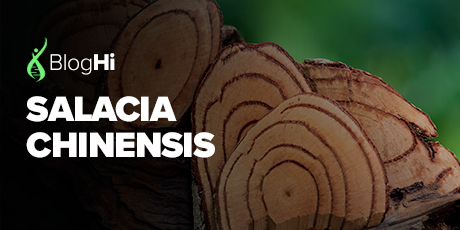 Salacia chinensis - Promove a Supressão Dependente da Dose de Hiperglicemia Pós-prandial e Melhora os Parâmetros de Glicose no Sangue