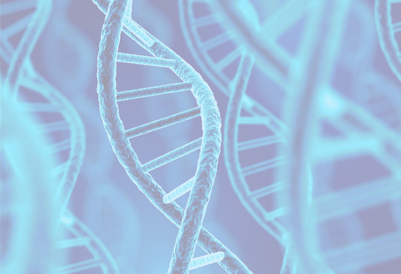 Nutrição ortomolecular