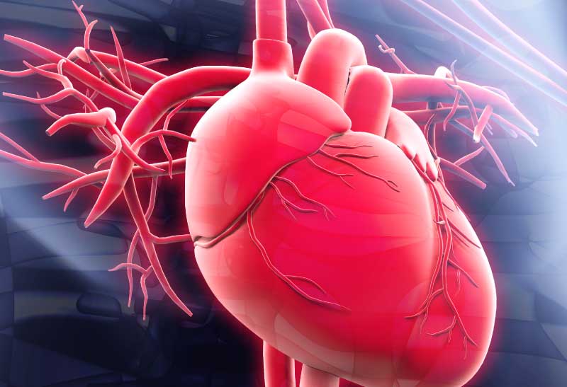 Colesterol Alto Pode Aumentar o Risco de Câncer