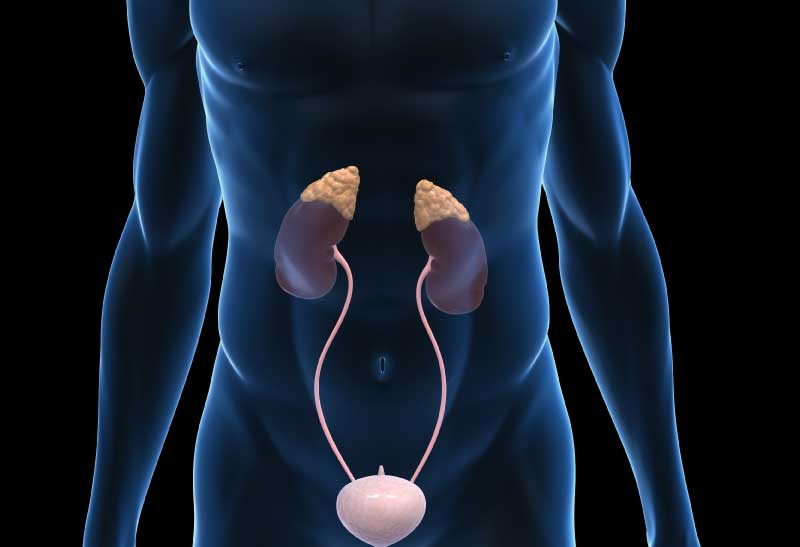 A Mudança de Cor Como Sinal de Alerta