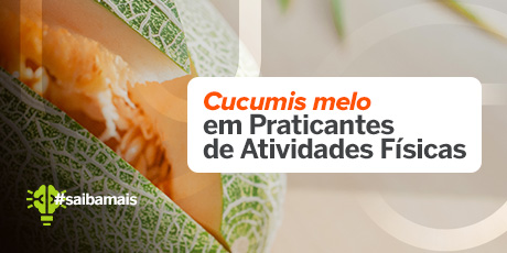 Cucumis melo em Praticantes de Atividades Físicas Apresenta Ação Antioxidante, Auxilia no Combate a Fadiga e Melhora a Recuperação Muscular