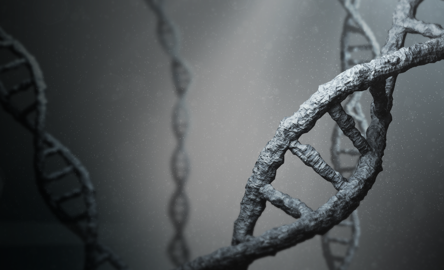 Emagrecer, um desafio genético.