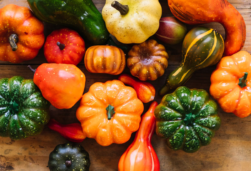 Abóbora garante a saúde da visão