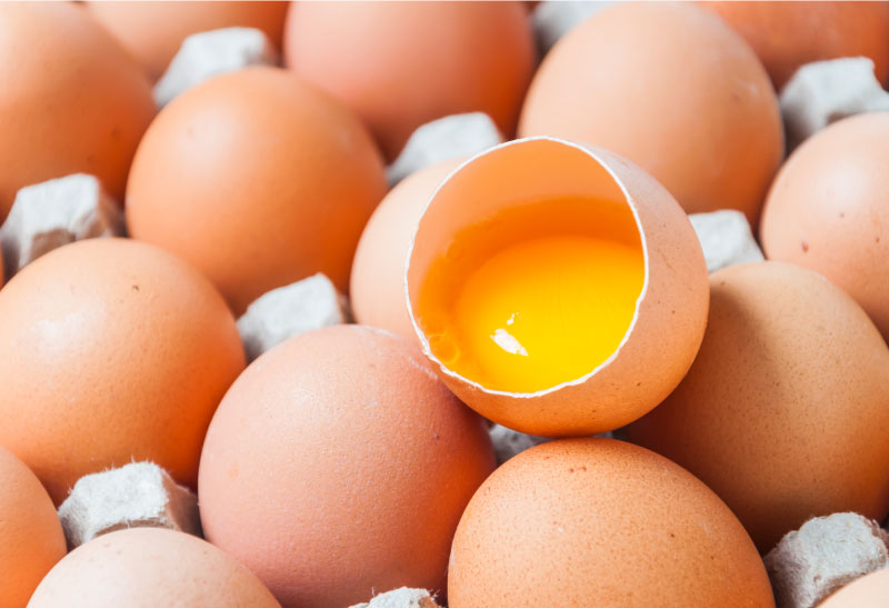 Vitaminas da gema do ovo